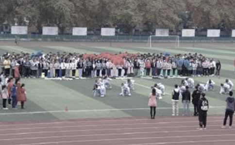 操场上作文(优选15篇)