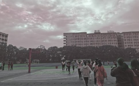 ���ֵĲٳ�����(14ƪ)