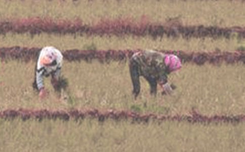 �����������ĵĹ�������1000��