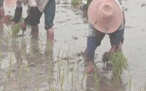 ����������衷���ޡ�����������������Ķ���