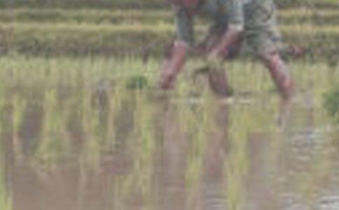 �йز�������