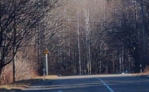 美丽的长白山作文15篇(精品)