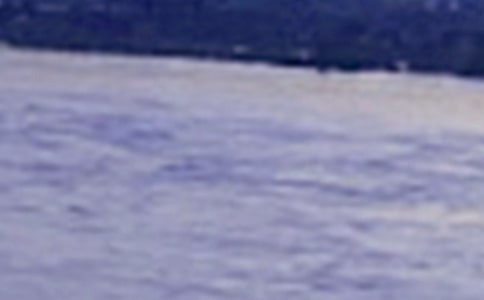 �Ͼ�������������