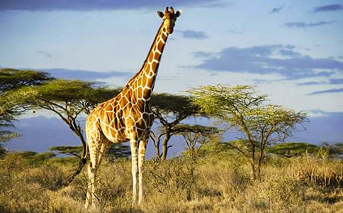 ����¹��Χ������7ƪ