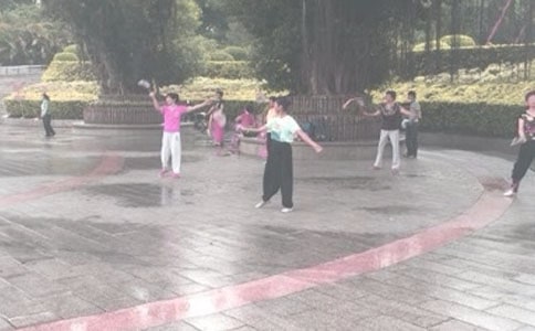 晨练三年级作文