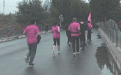 关于晨跑的作文