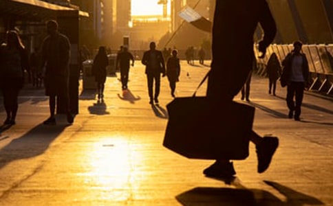 ���ѳ�����ľ���