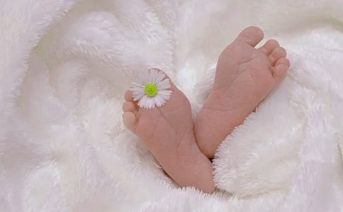 ����ѡ����������������塷�����