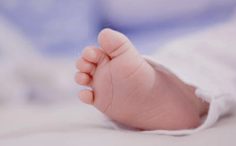 ��������ľ�������