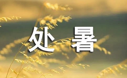 处暑总结