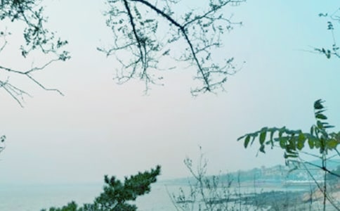 ����ʮ������