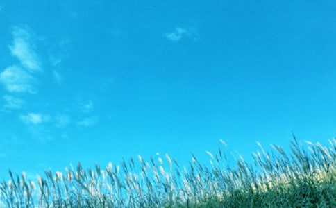 ���񴺷��ж��ܽ�(7ƪ)