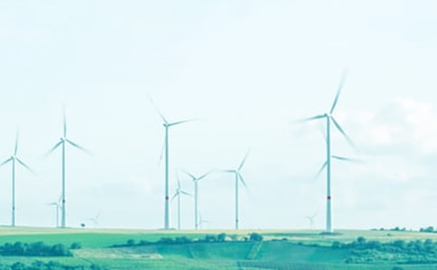 春风吹又生作文15篇