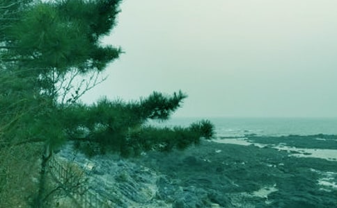 ��һ�ƴ�������[����26ƪ]