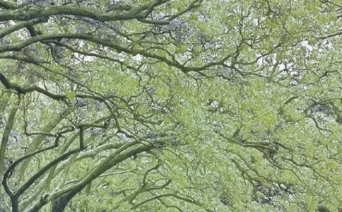 �����ж��ܽ�(15ƪ)