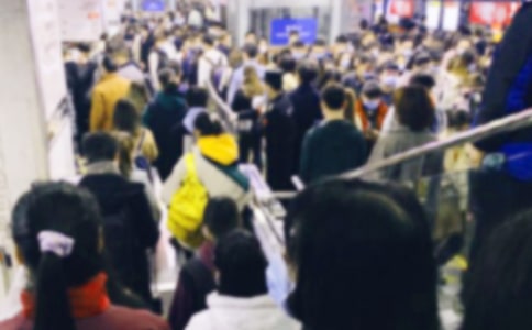 关于春运的作文(通用14篇)