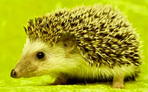 ��⬵�����