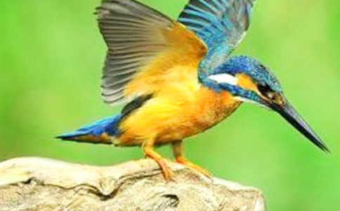 ���ڴ����������ѡ