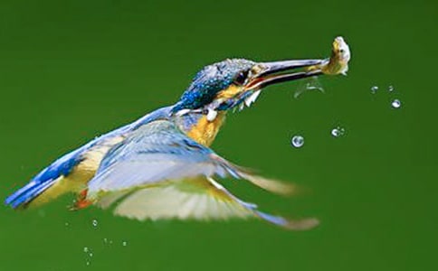 ���������(15ƪ)