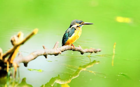 ���������(15ƪ)