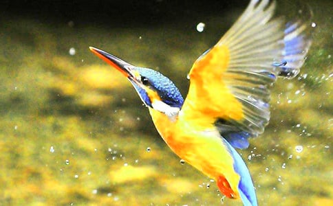 ���������15ƪ