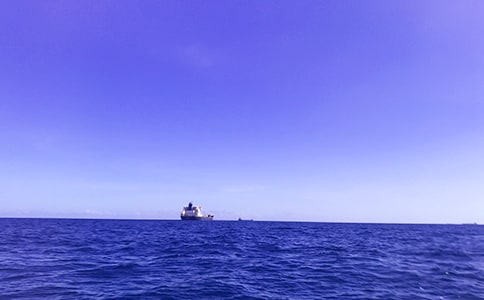 面朝大海,春暖花开作文(15篇)