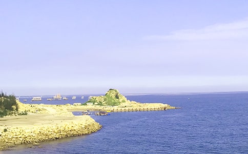 大海,我爱你作文