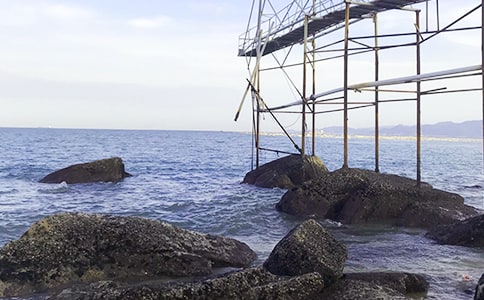 ��������