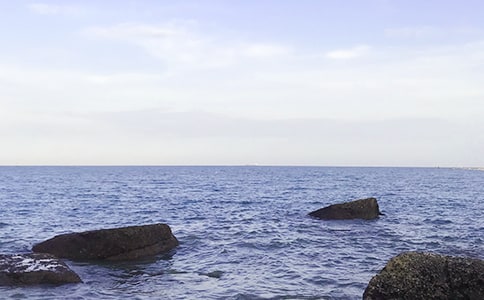 ȥ��������