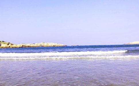 实用的大海的作文4篇