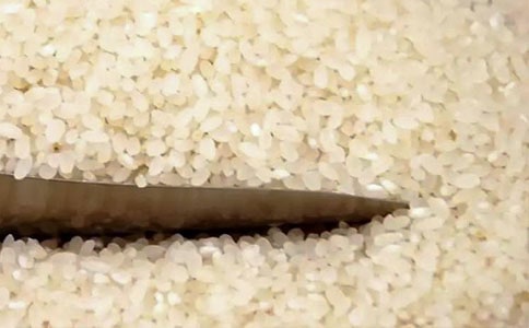 小毛驴驮大米作文(6篇)