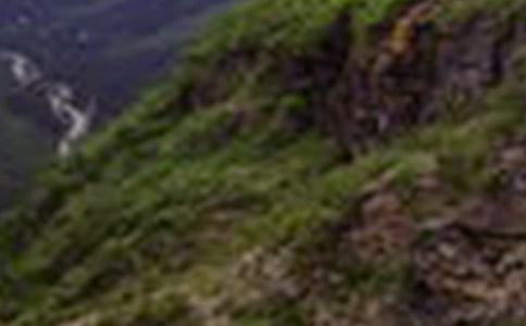 描写大山的作文