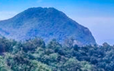 ��д��ɽ������