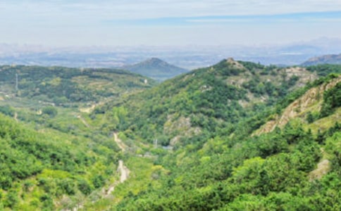 ��ɽ������(15ƪ)