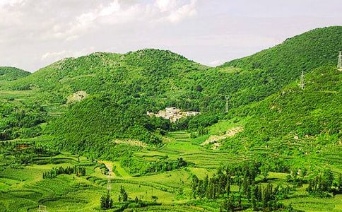 大山的作文15篇