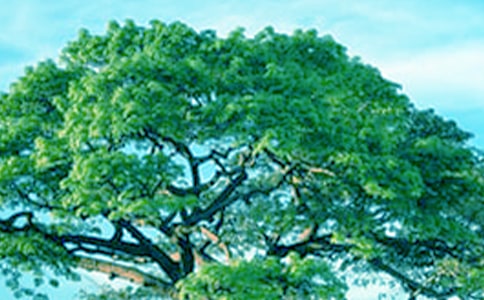 һ�ô����Ķ���о��䡾3ƪ��