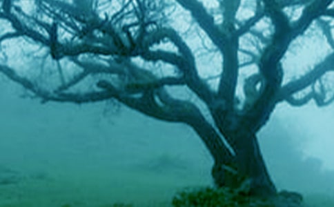 ��С��������ĶԻ�����ѧ��˼