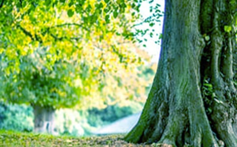 �������к��Ķ���