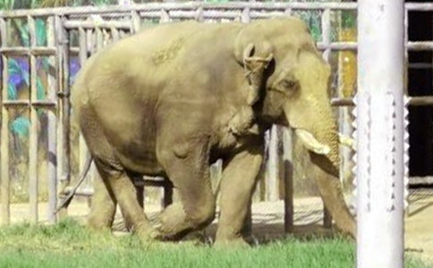 �ɰ��Ĵ������Ļ��15ƪ