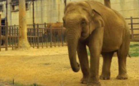 �����ҹ������ġ���Ʒ2ƪ��