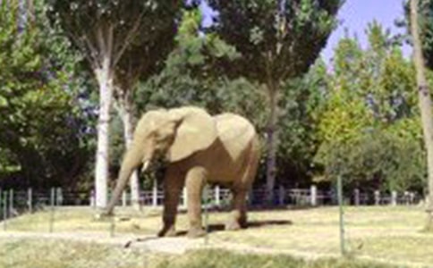 ����ı������ĺϼ�9ƪ