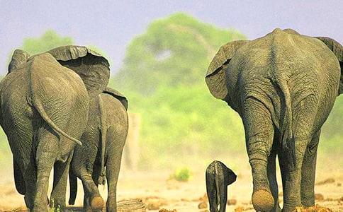 �����С�����ļ���15ƪ