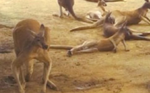 ���������������