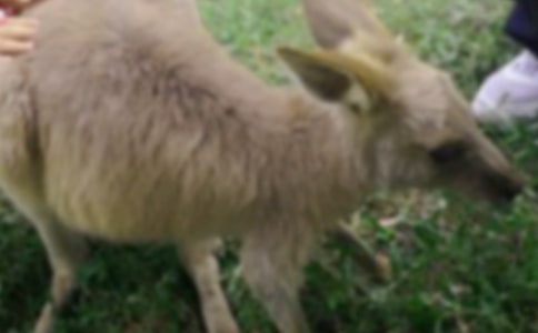 �������������6ƪ