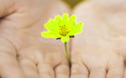 错过的道歉作文