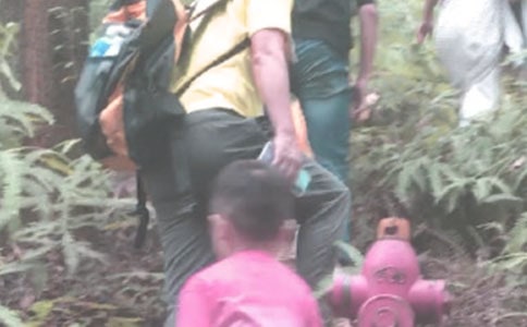 登山记作文(通用15篇)