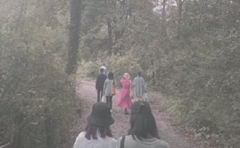 关于登山的作文