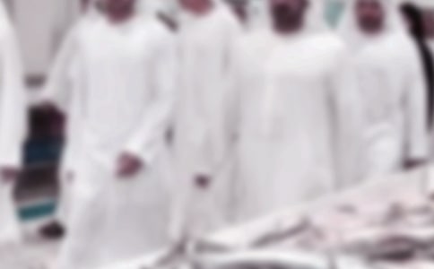 【精】迪拜街头风光作文