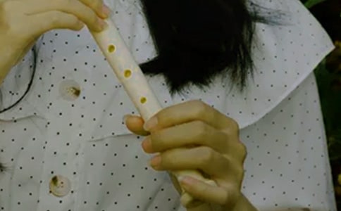 我学会了吹笛子作文