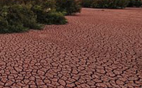 地球在呻吟作文(集合6篇)